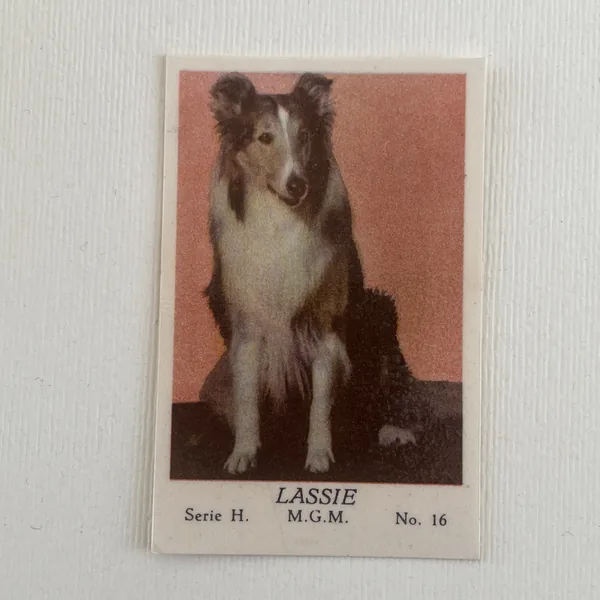 Lassie — Serie H #16