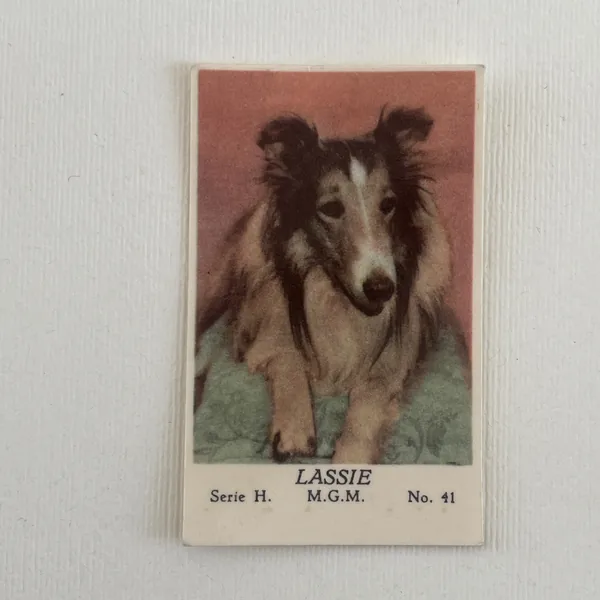 Lassie — Serie H #41