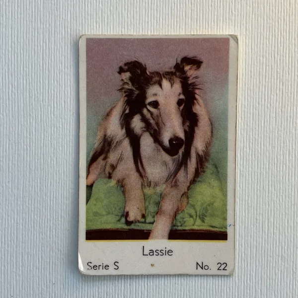 Lassie — Serie S #22