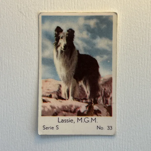 Lassie — Serie S #33