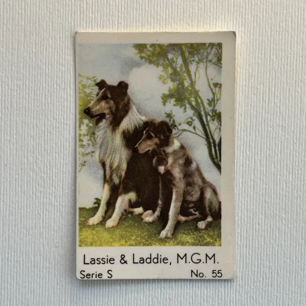 Lassie & Laddie — Serie S #55