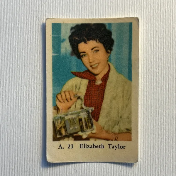 Elizabeth Taylor — A Set (A Serif) #23