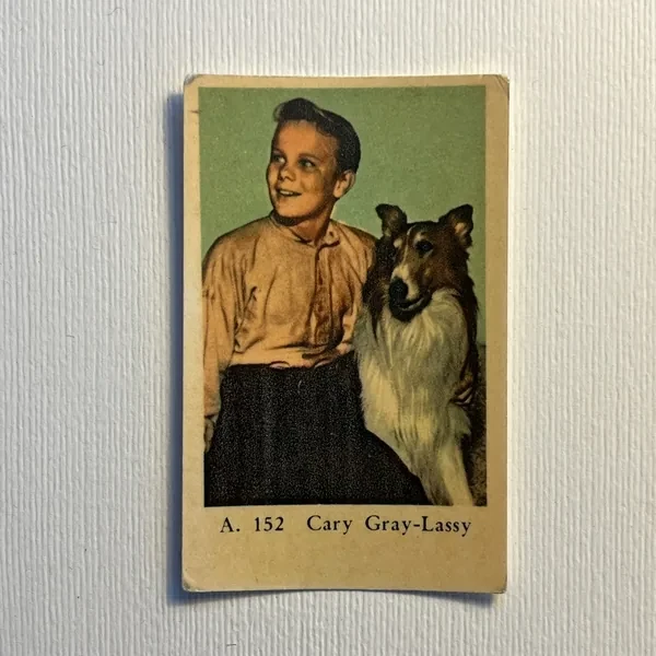 Cary Gray - Lassie — A Set (A Serif) #152