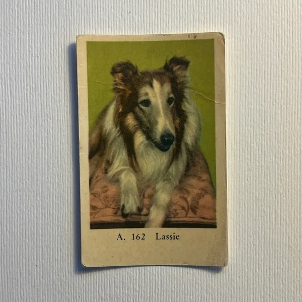 Lassie — A Set (A Serif) #162