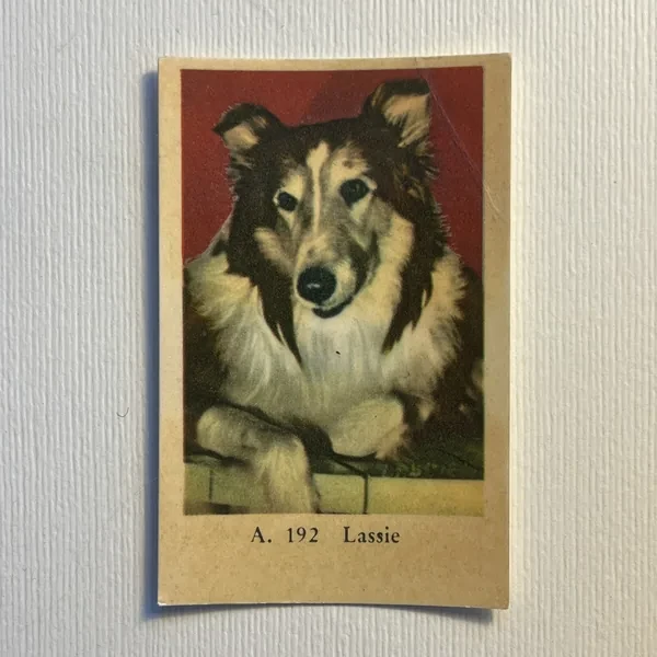 Wild Bill Elliot — A Set (A Serif) #191