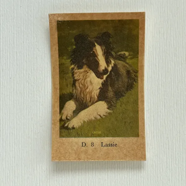 Lassie — D Set #8