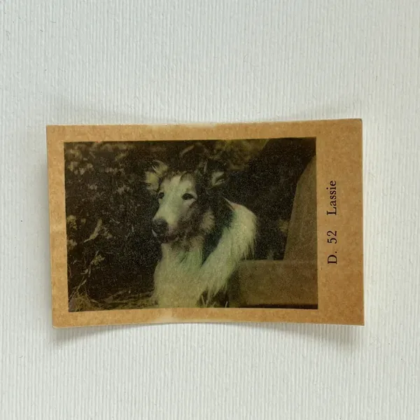 Lassie — D Set #52