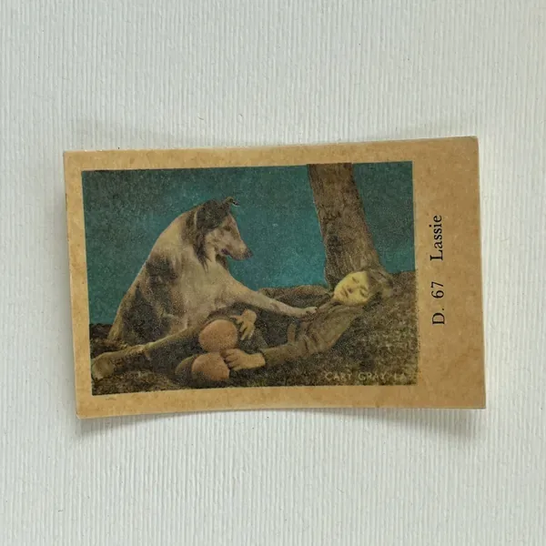 Lassie — D Set #67