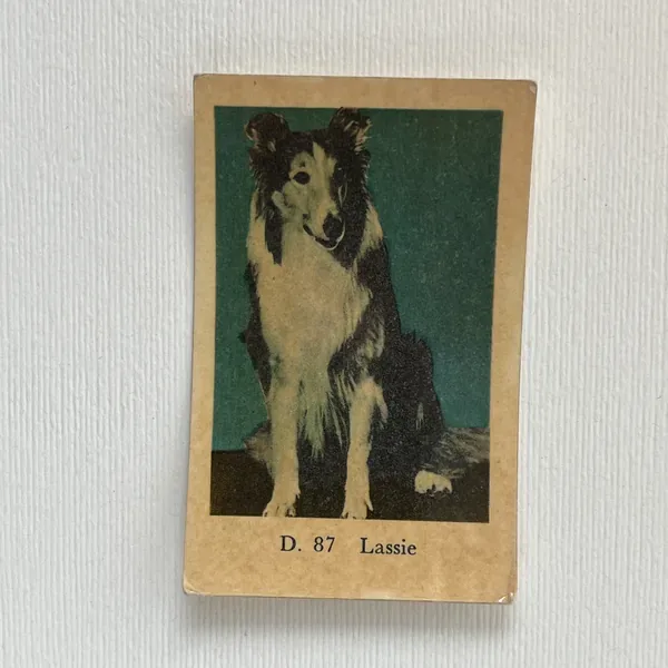Lassie — D Set #87