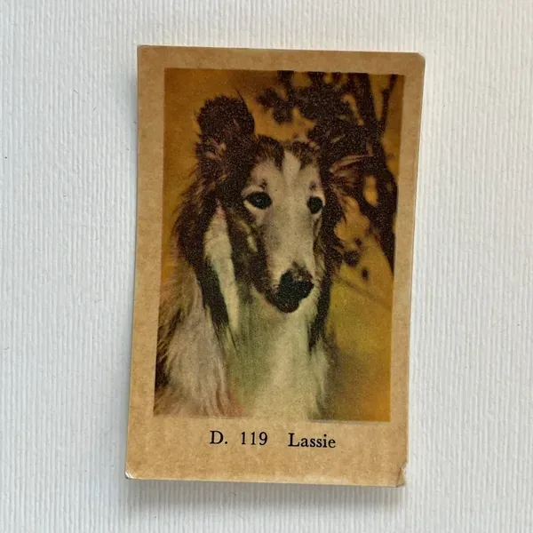 Lassie — D Set #119