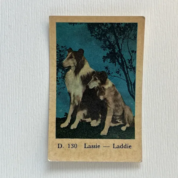 Lassie - Laddie — D Set #130