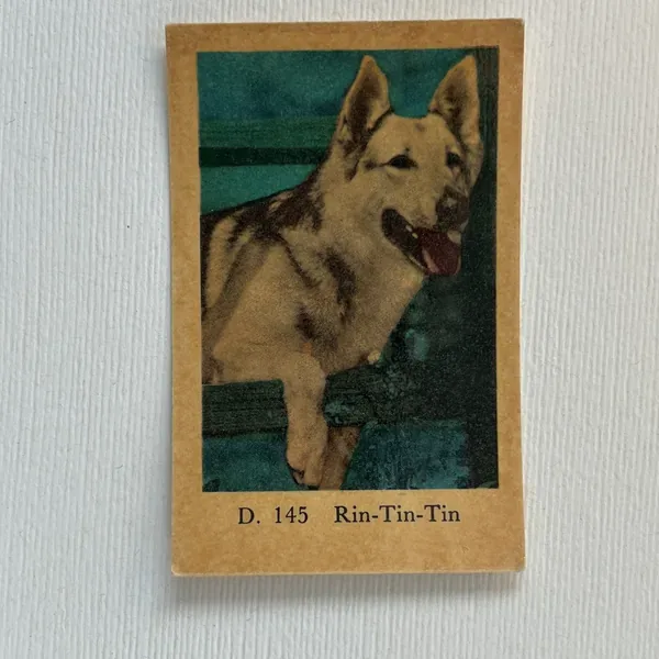 Rin-Tin-Tin — D Set #145