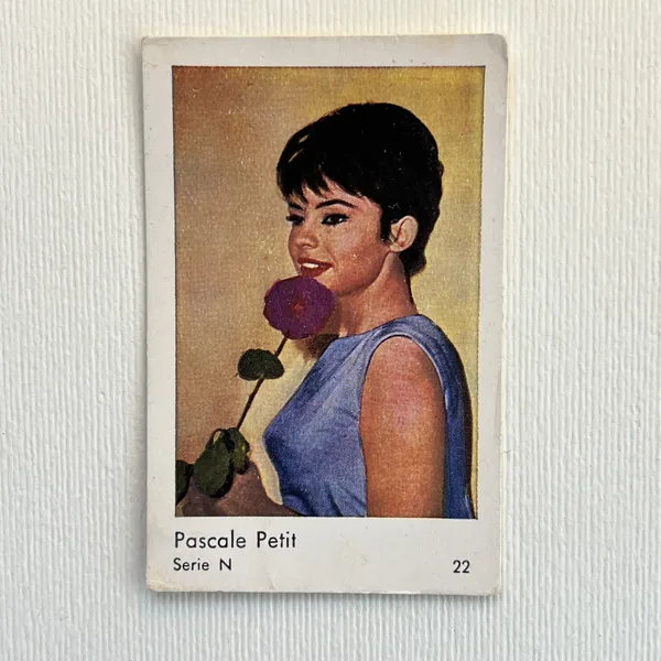 Pascale Petit — Serie N #22
