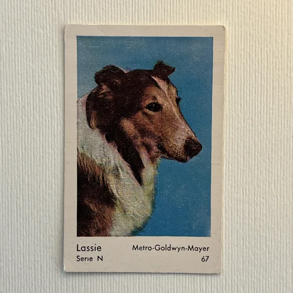 Lassie — Serie N #67