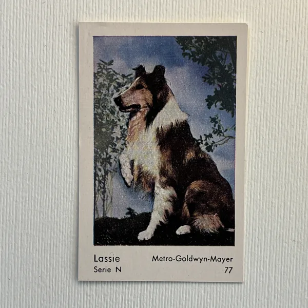 Lassie — Serie N #77
