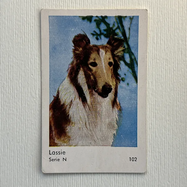 Lassie — Serie N #102