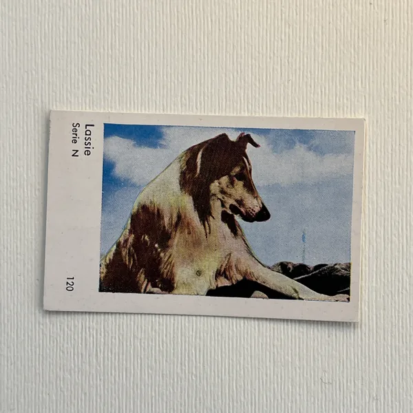 Lassie — Serie N #120