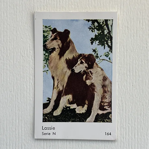 Lassie — Serie N #164