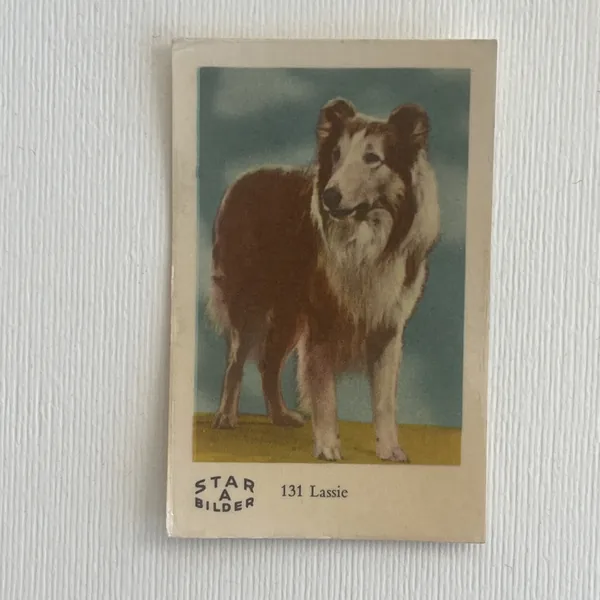 Lassie — Star Bilder A #131