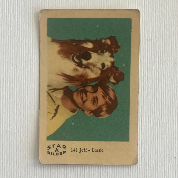 Jeff - Lassie — Star Bilder A #141