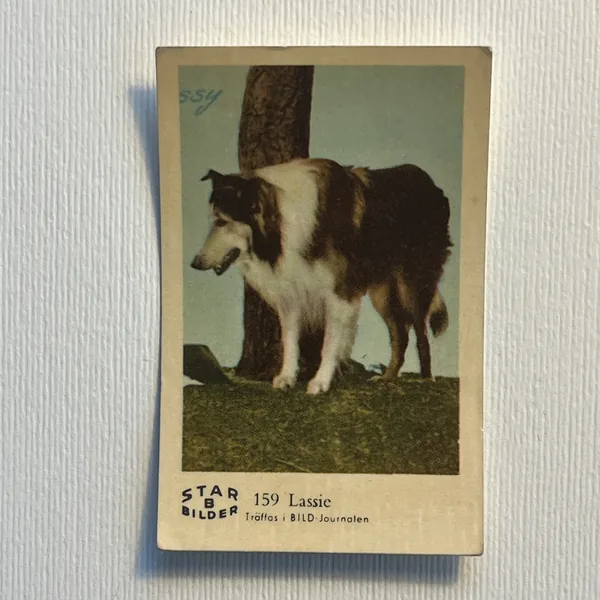 Lassie — Star Bilder B #159