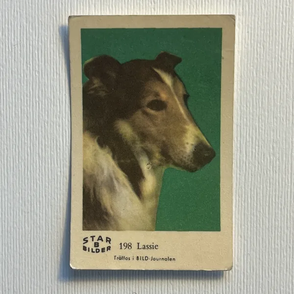 Lassie — Star Bilder B #198