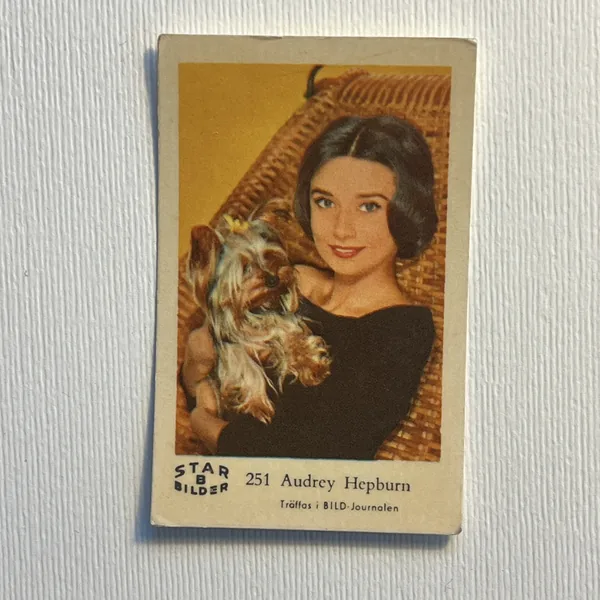 Audrey Hepburn — Star Bilder B #251