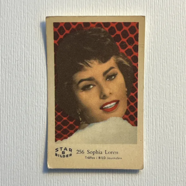 Sophia Loren — Star Bilder B #256