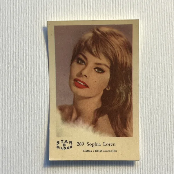 Sophia Loren — Star Bilder B #269