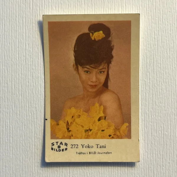 Yoko Tani — Star Bilder B #272