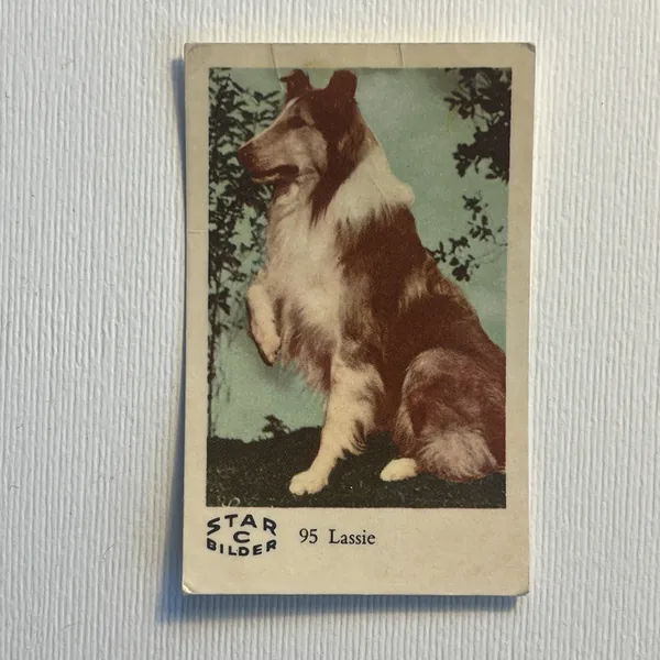 Lassie — Star Bilder C #95