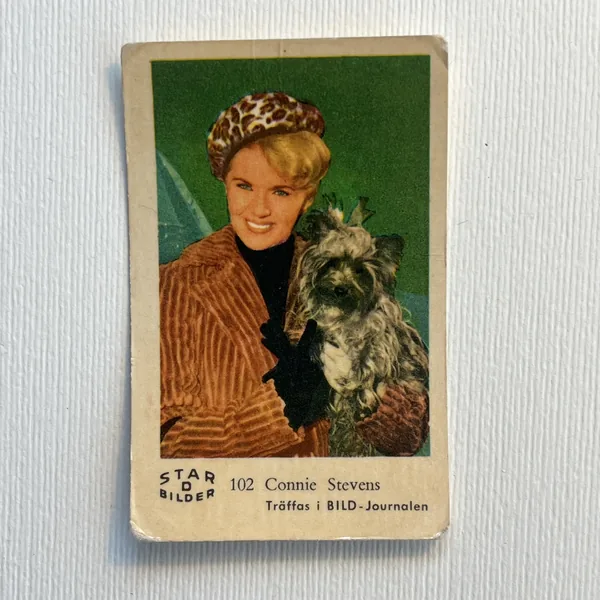 Connie Stevens — Star Bilder D #102