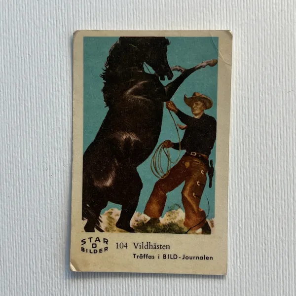 Vildhästen — Star Bilder D #104