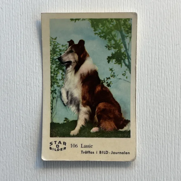 Lassie — Star Bilder D #106