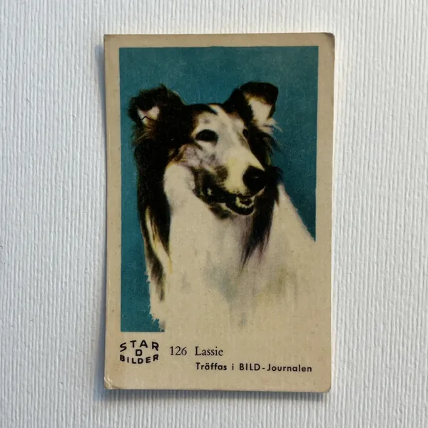 Lassie — Star Bilder D #126
