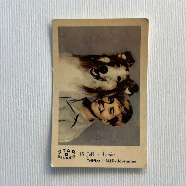 Jeff - Lassie — Star Bilder D #15