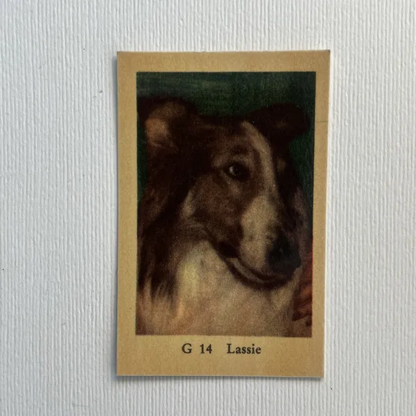 Lassie — G Set #14