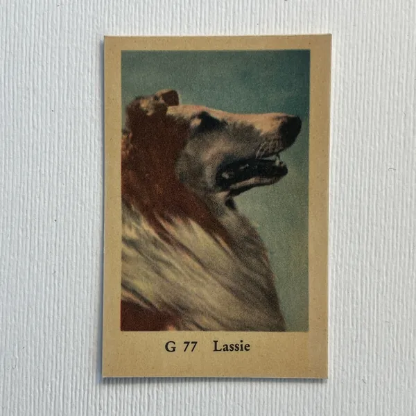 Lassie — G Set #77